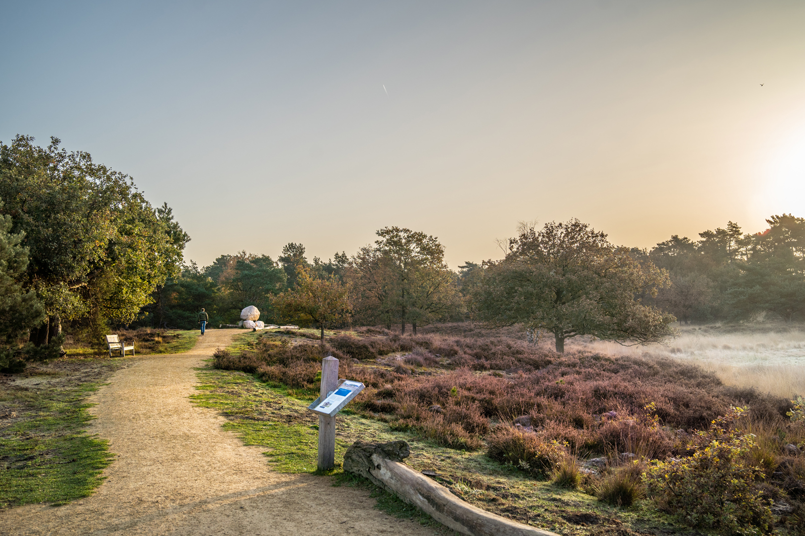 Wanderung durch die Heide um Oirschot
