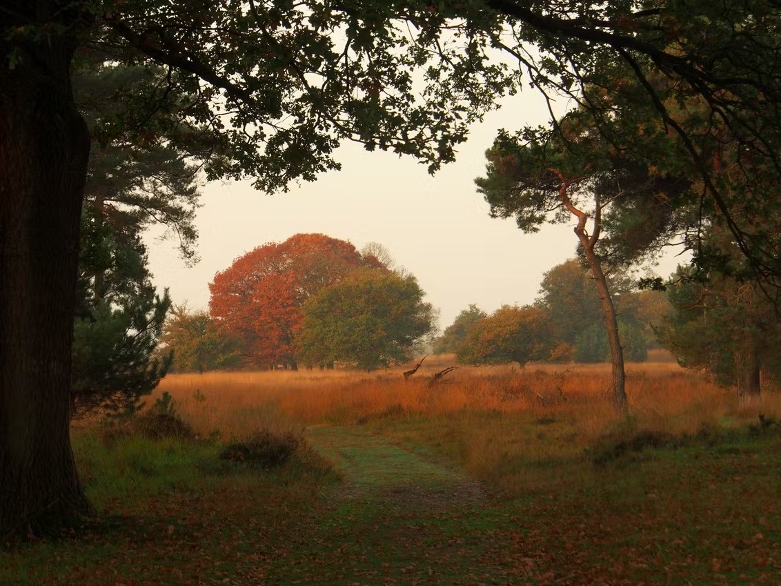 Wandelen in de natuur rond Oirschot